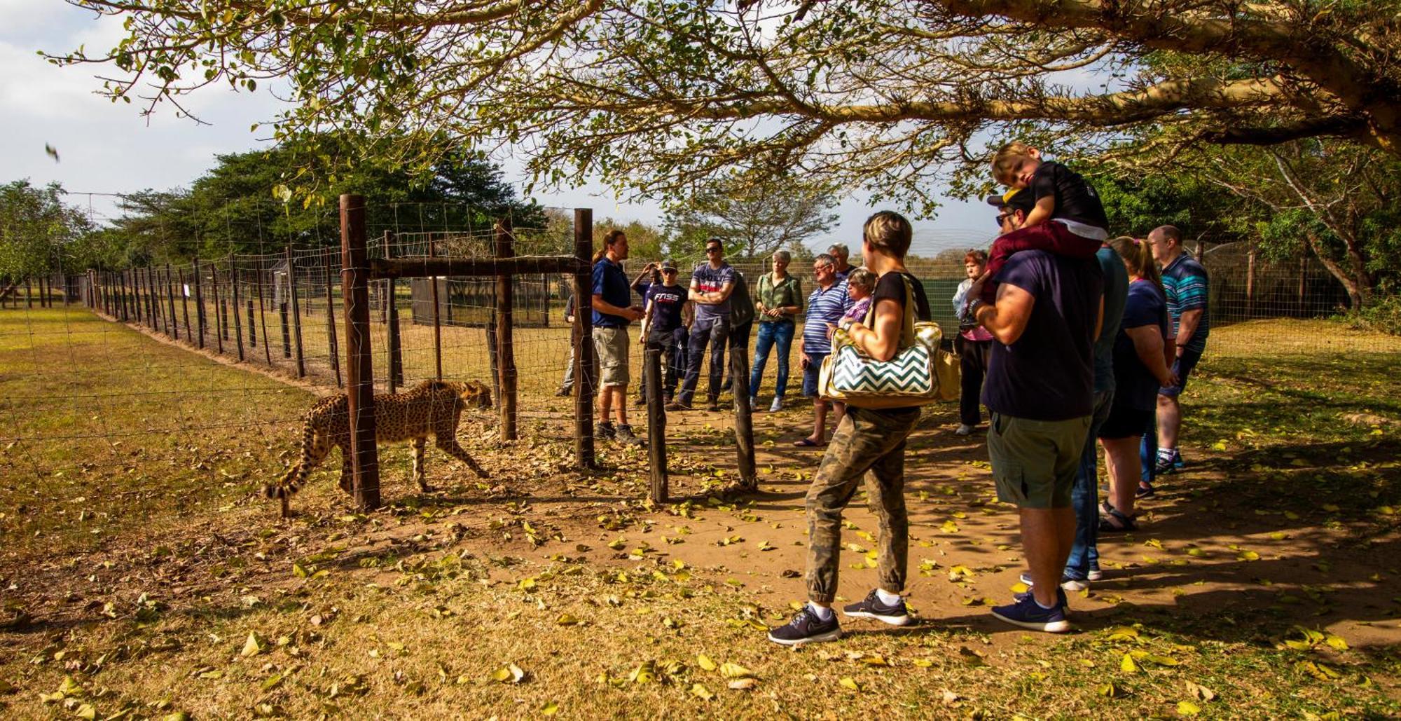 שלושלואי Emdoneni Lodge With Zululand Cat Conservation Project מראה חיצוני תמונה